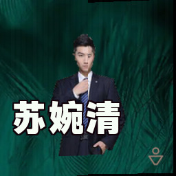 苏婉清