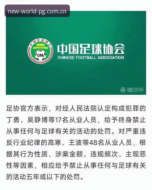 2026pg电子游戏版本更新 足协公布第三批禁足名单,PG电子玩家怎么看这场行业大清洗?